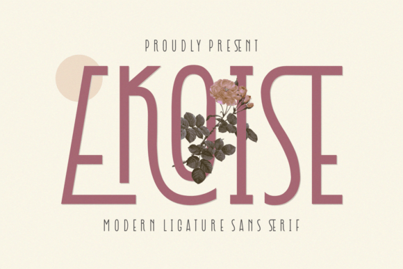 Ekoise: A Thoughtful Sans Serif for Calm, Clear Typography