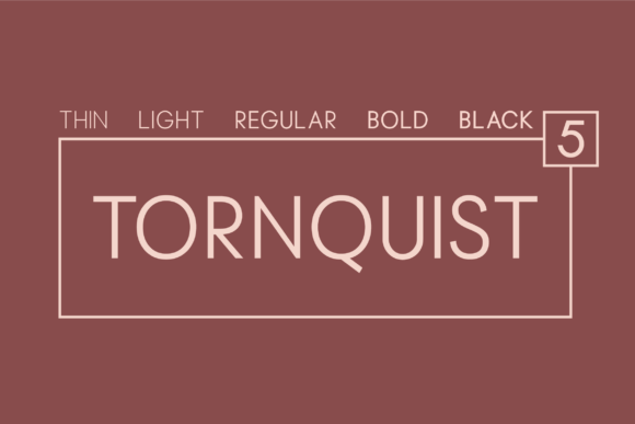 Tornquist Font: Clean, Elegant Sans Serif for Handmade Brands